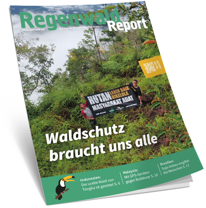 Cover Regenwald Report 04/2024