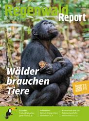 Titel Regenwald Report 2/24