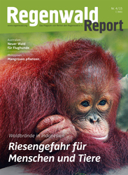 Cover Regenwald Report 04/2015