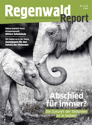 Cover Regenwald Report 01/2015